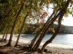 Strand und Bäume am Manuel Antonio-Nationalpark (Costa Rica)